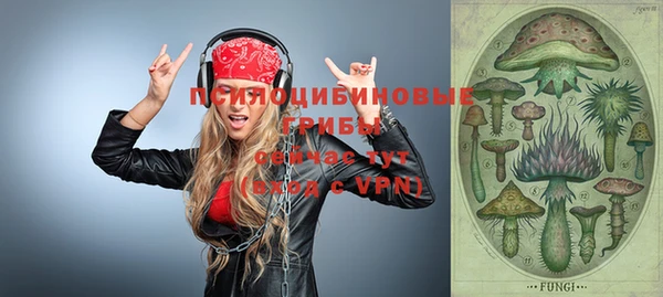 дмт Богородицк