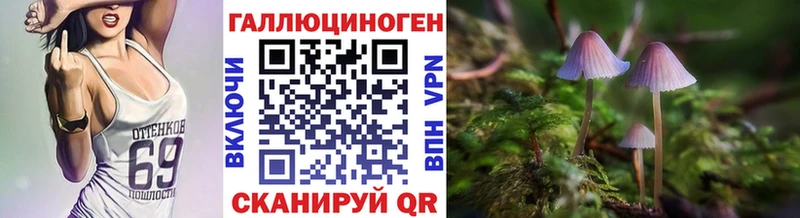 Псилоцибиновые грибы Psilocybine cubensis  где продают   гидра ссылки  Красновишерск 